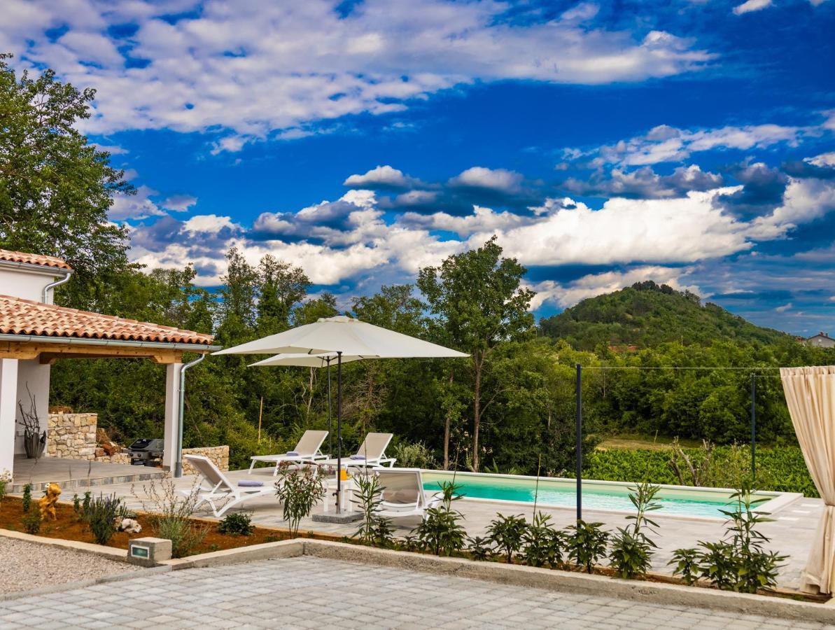Villa Klara Buzet Ngoại thất bức ảnh